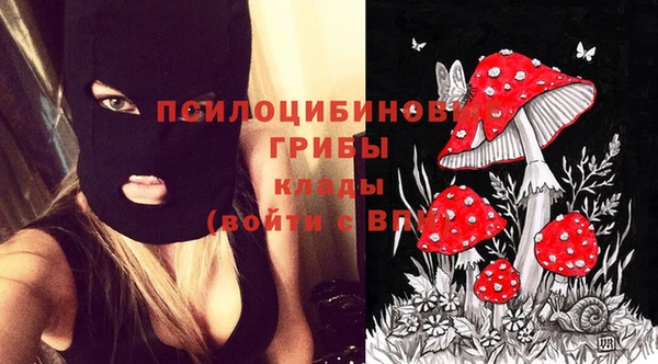 кокаин Алексин