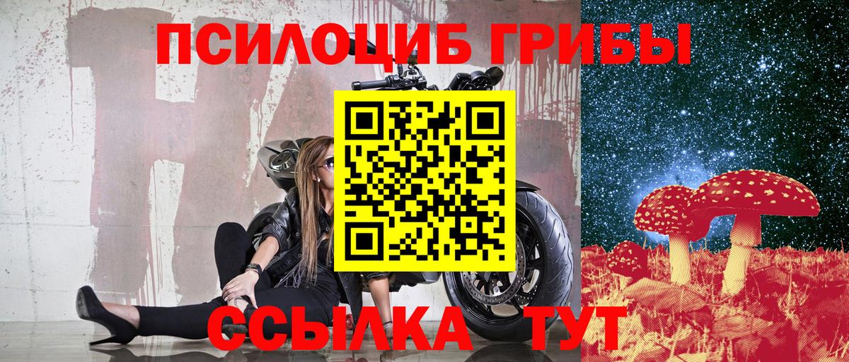 Псилоцибиновые грибы MAGIC MUSHROOMS  Вход с VPN  Слободской  закладки  Псилоцибиновые грибы мицелий 